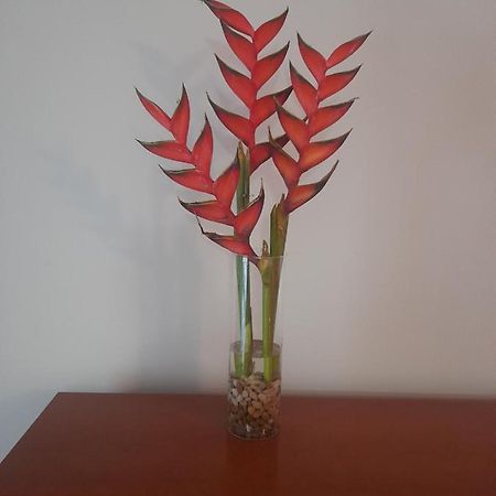 Recanto Da Madeira. Appartement Ribeira Brava Buitenkant foto