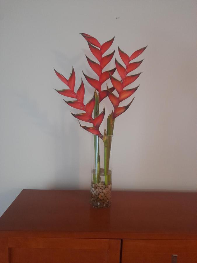 Recanto Da Madeira. Appartement Ribeira Brava Buitenkant foto